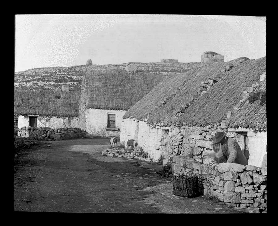 Jane W. Shackleton's Western Islands